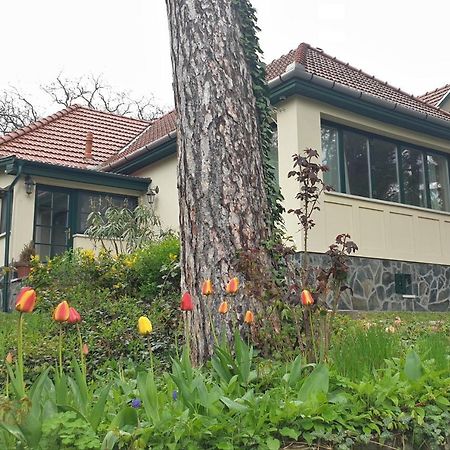 Edit Villa Matrafured Exterior foto