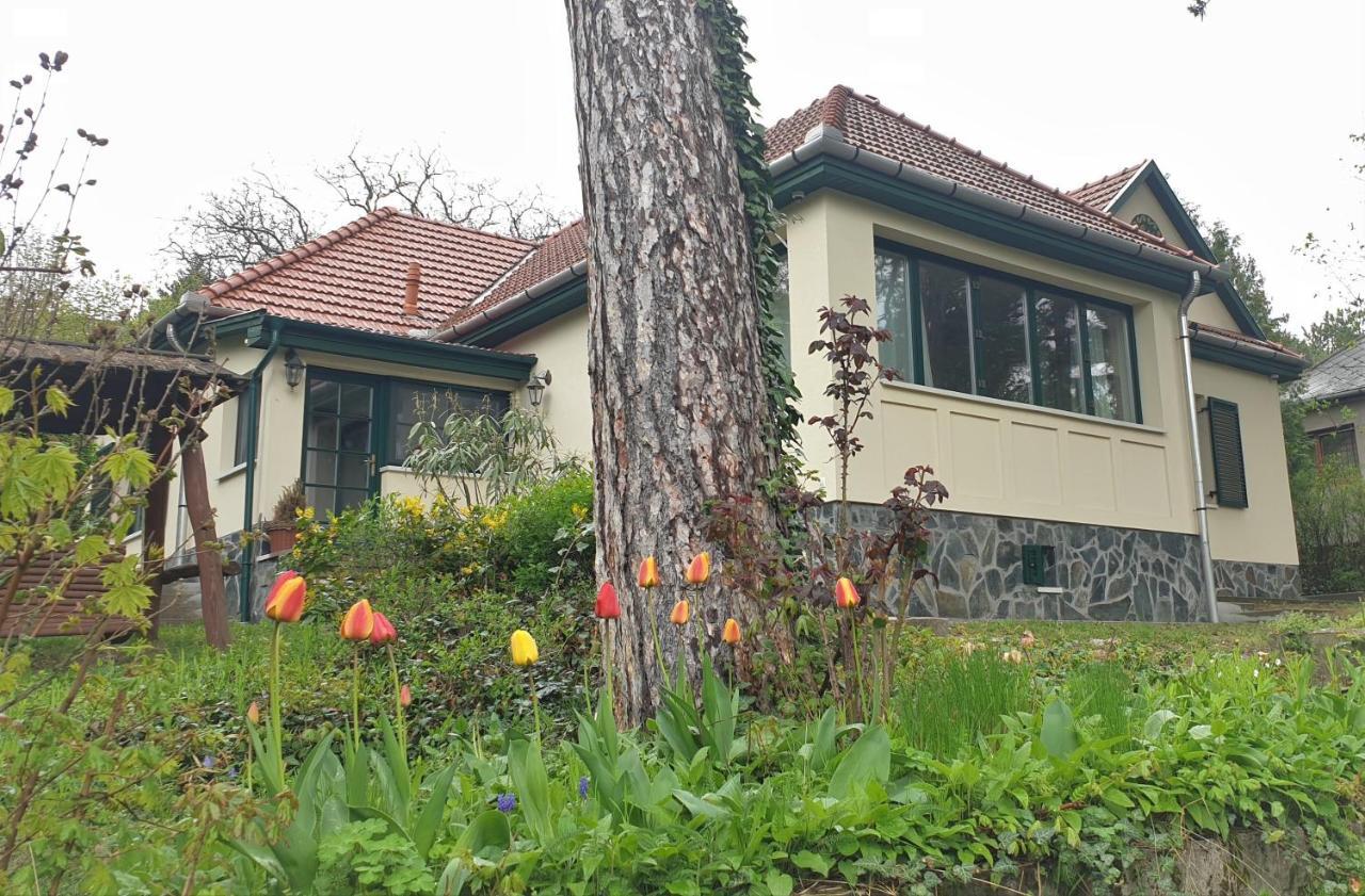 Edit Villa Matrafured Exterior foto